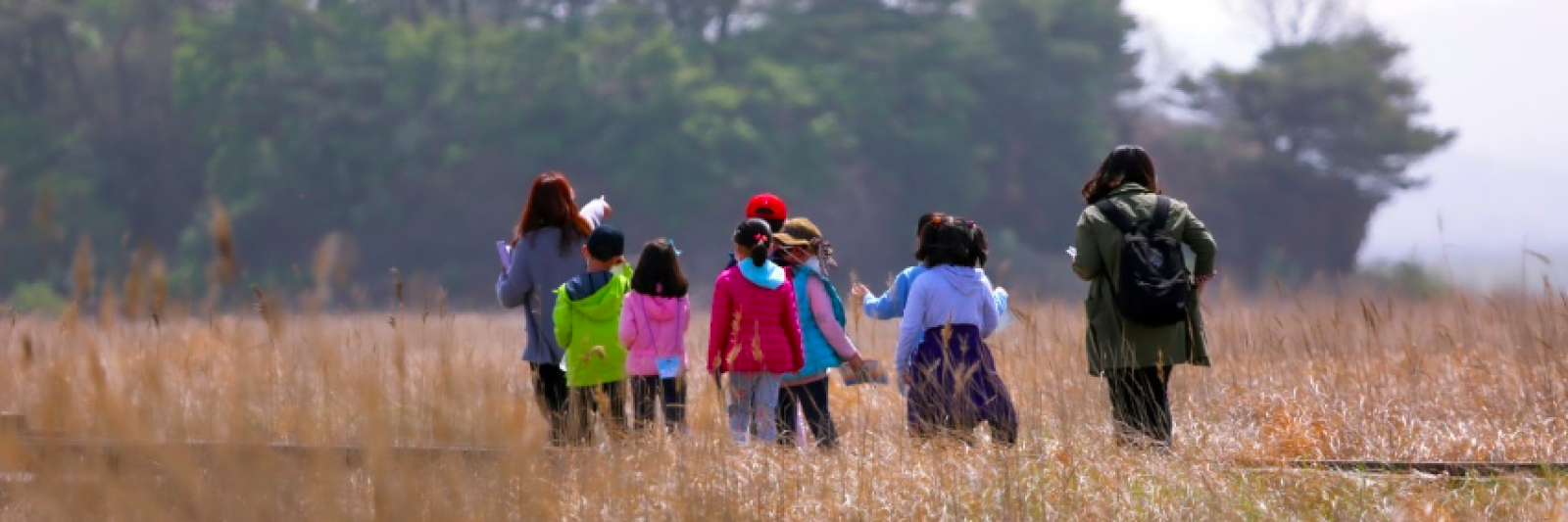 Bambini che passeggiano in un campo