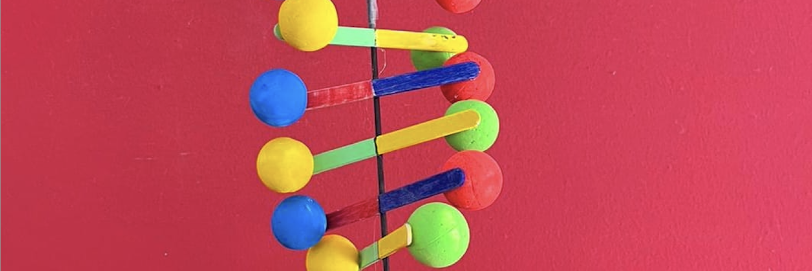 DNA costruito dai bambini