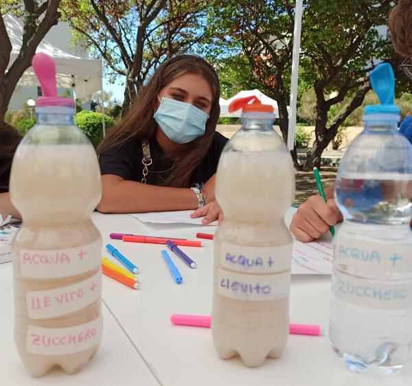 Alcune bottiglie di plastica contenenti liquidi per l'esperimento.