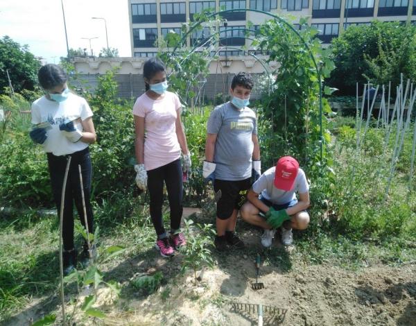 Ragazzi e ragazze con guanti da lavoro, all'interno di un orto.