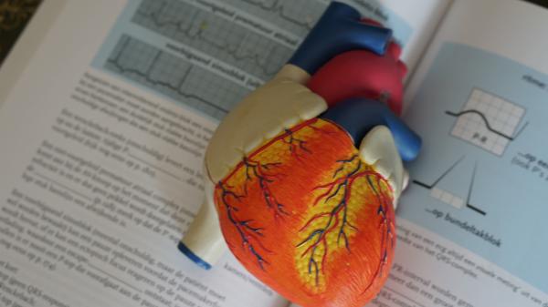 Cuore di plastica appoggiato su un libro di scienze